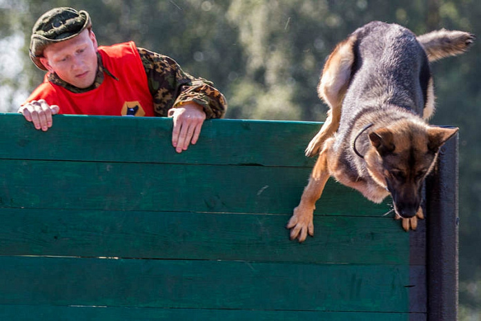 россия, армия, армейские игры