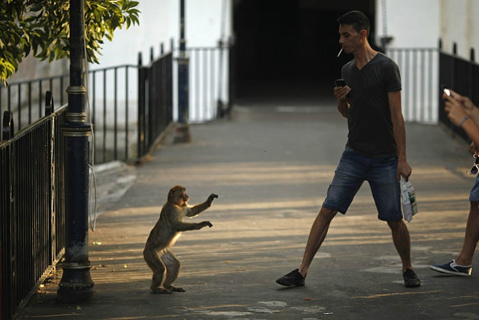 фото, Reuters