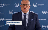 Чем ордер МУС грозит России
