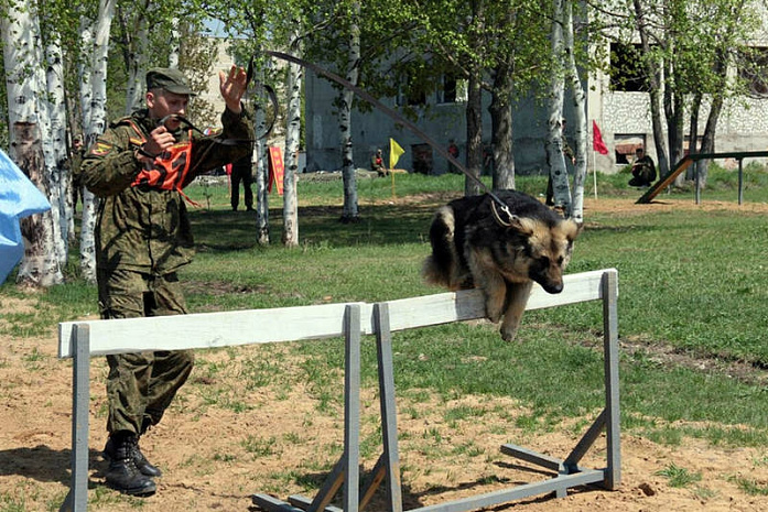 россия, армия, армейские игры