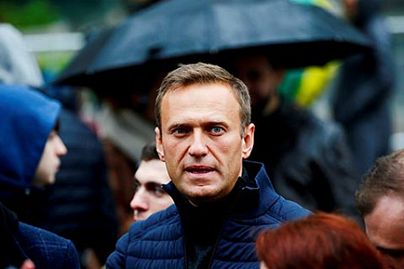 навальный, подписи