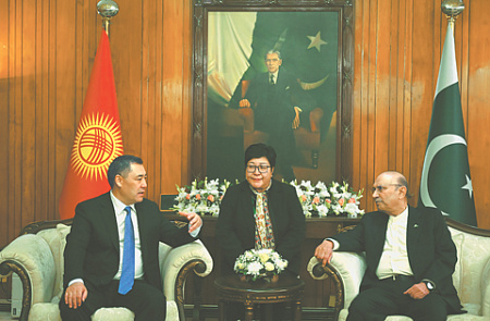 пакистан, президент али зардари, киргизия, практические проекты, экономика, энергетика