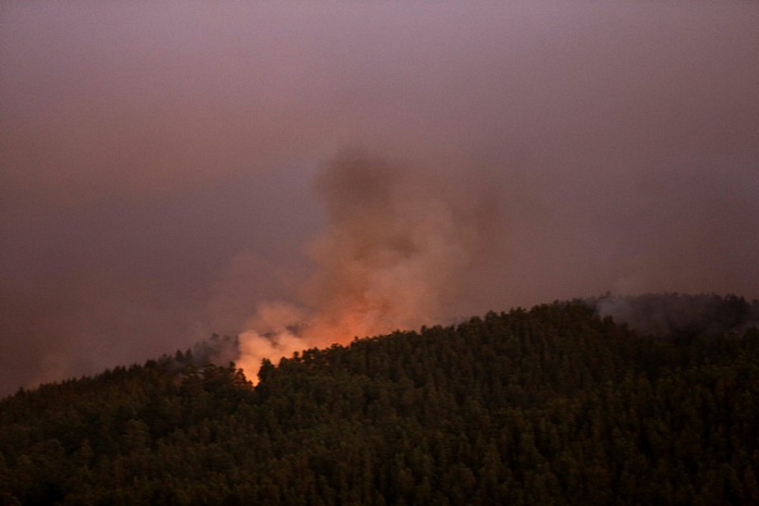 чили, лес, пожары
