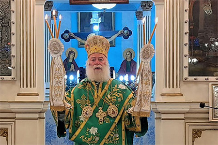 рпц, африка, александрийская церковь, патриарх феодор, жалоба, байден, украина, пцу