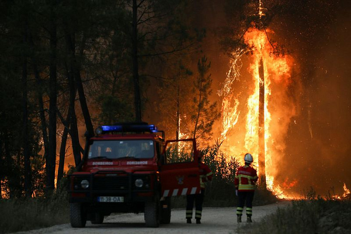 португалия, лесные пожары