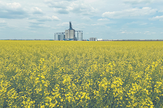 Китай предлагает альтернативу тарифным войнам