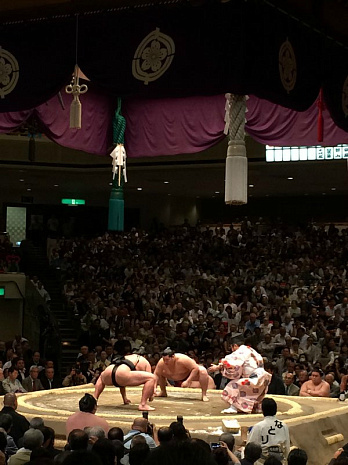 япония, фудзияма, суши, сумо, люди