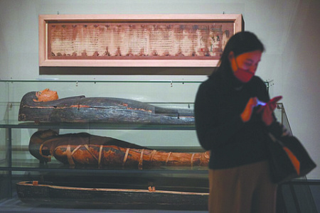 выставка, мумиии древнего египта