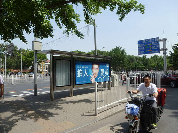 китай, пекин, цветы, весна