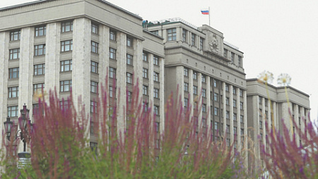 вс, законопроект, запрет на арест, женщины, ненасильственные преступления, правозащита, спч