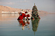 Рождественская ель "выросла" на Мертвом море