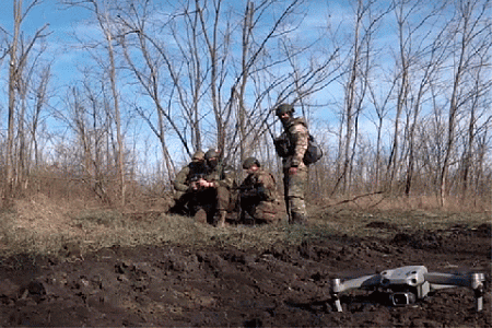 фом, соцопросы, военная спецоперация, госпропаганда, эффективность