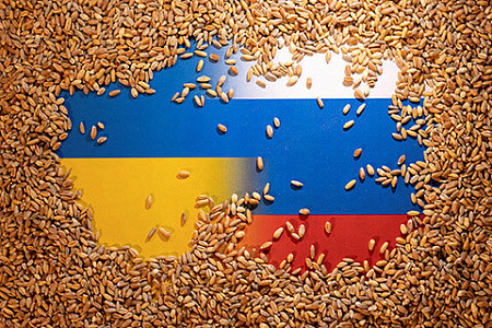 сырьевые товары, цены, зерно, продовольственный кризис, санкционные ограничения, военная спецоперация, украина