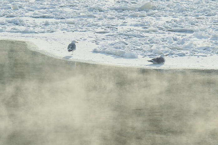 россия, москва, погода, холода