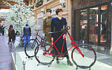 Выставка  "Эволюция велосипеда"