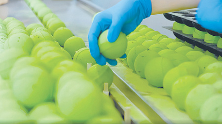 ФРП, промышленность, производство, химия, технологии, химическая промышленность, нацпроект, Фабрик Косметик