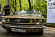 IMG_24763447.jpg