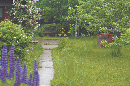 поэзия, лирика