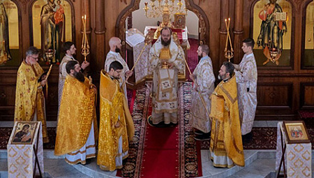 африка, экзархат рпц, епископ константин, александрийский патриархат