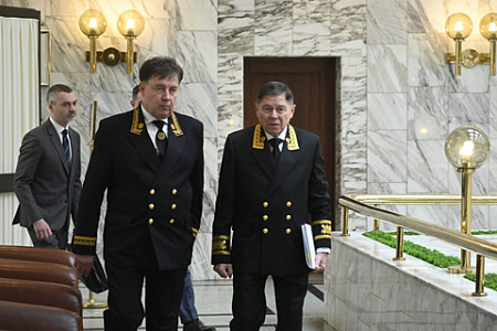 суды, цифровизация, электронное правосудие, адвокаты