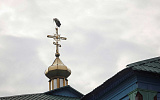 Украинской православной церкви нужен томос из Иерусалима