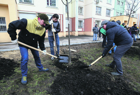 москва, благоустройство, экология, озеленение