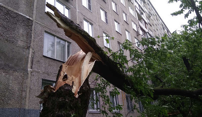 москва, стихия, ураган
