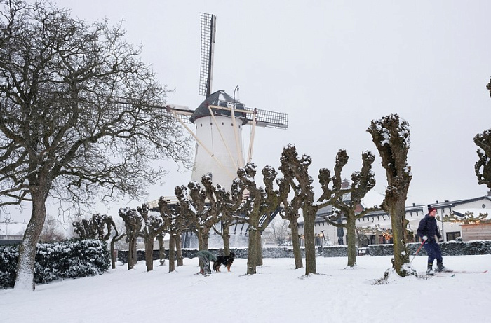 нидерланды, снег, метель