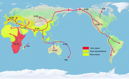 антропология, геном, америка, переселение