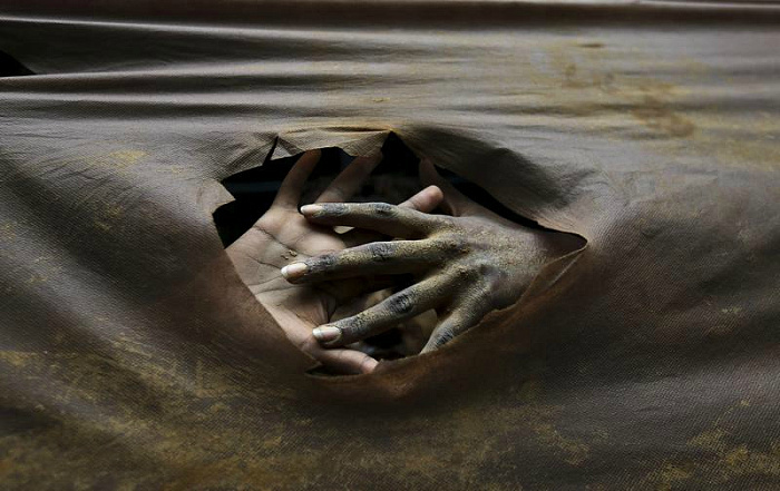 бразилия, экология, протест, катастрофа