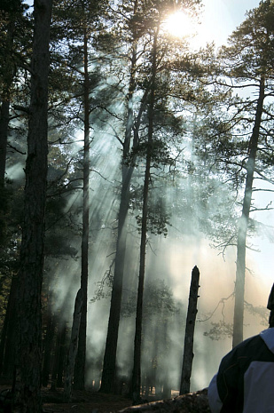 финляндия, армия, полигон