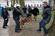 В Брюсселе антиковидные протесты обернулись беспорядками