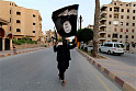 "Исламское государство" уже скорее вирус