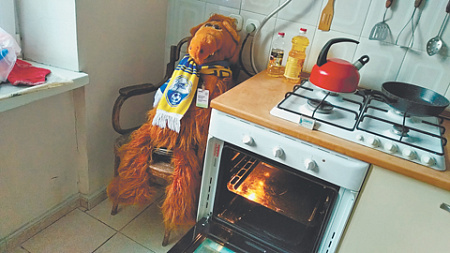 занимательные истории