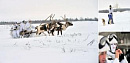 <b>Мотострелки</b> освоили управление собачьими и оленьими упряжками