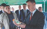 Доходы номинально растут – ценовая доступность продуктов снижается