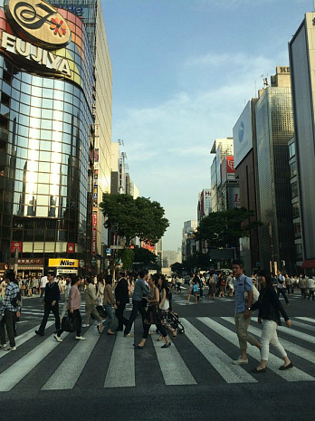 япония, фудзияма, суши, сумо, люди