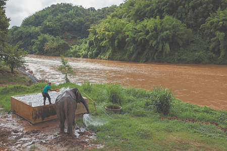 сша, китай, восточная азия, река меконг, добыча редкоземельных металлов, шахты, угроза здоровью, нарушение гигиены