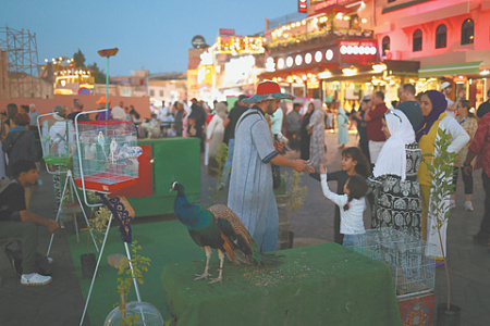 марокко, протесты, война