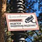Искусственный интеллект помогает содержать в порядке подмосковные дворы