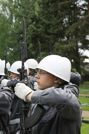 россия, финляндия, шойгу