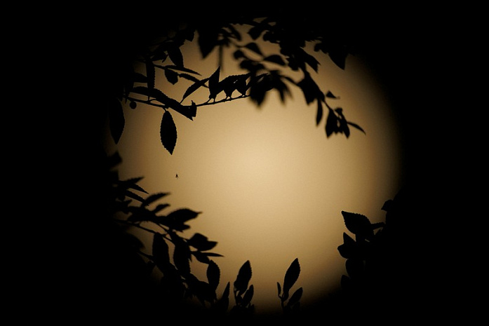 земля, полнолуние, бобровая луна