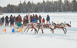 Оленеводы отметили в Харампуре двойной праздник