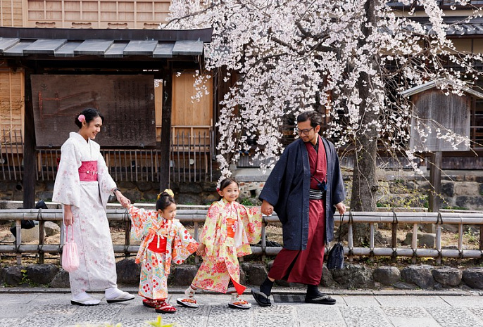 япония, сакура, цветение