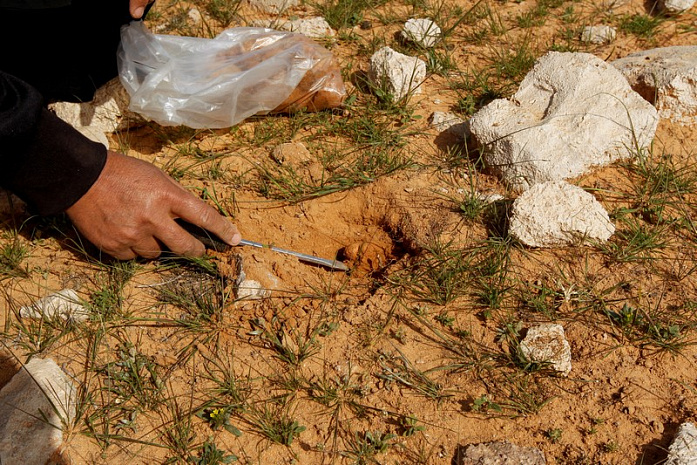 ирак, весна, трюфели