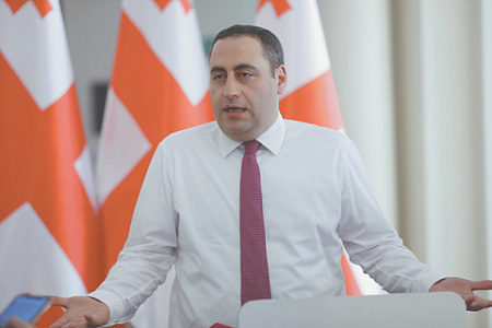 грузия. политика, оппозиция, национальное движение, саакашвили
