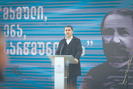 грузия, критика ес, европейские ценности, делегация пасе, нарушения прав человека