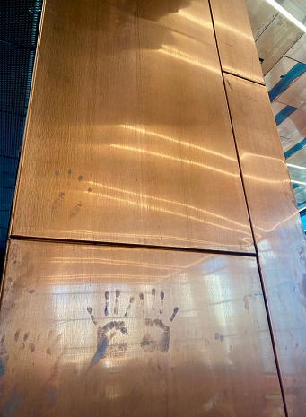 В сияющем кубе произрастает африканский лес скульптур