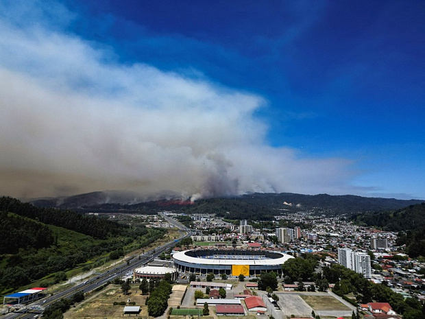 чили, лес, пожары