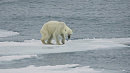 Глобальное потепление опасно для Арктики
